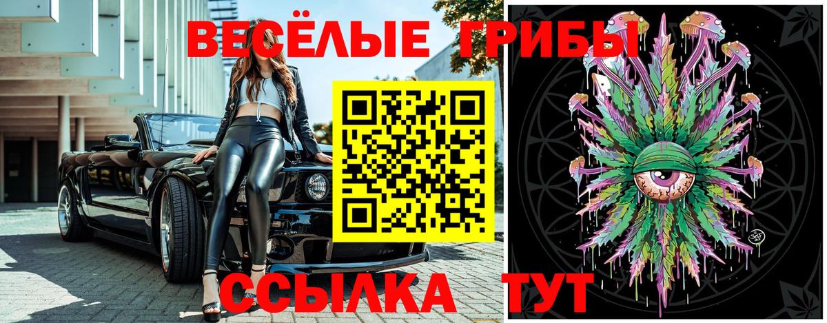 Мценск  Псилоцибиновые грибы Cubensis  Вход с VPN  наркотики  Галлюциногенные грибы MAGIC MUSHROOMS 