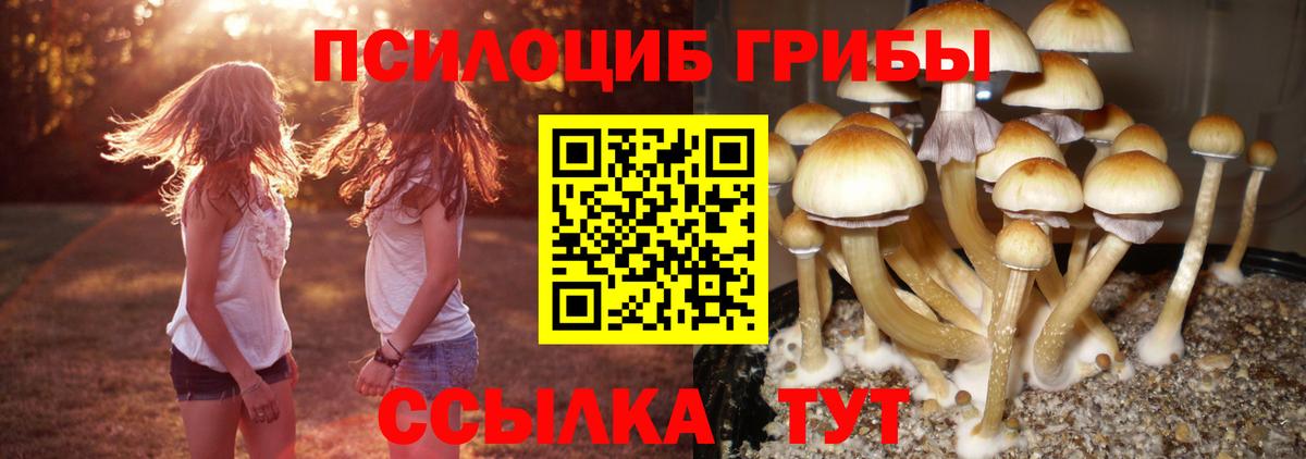 Псилоцибиновые грибы Magic Shrooms Мценск